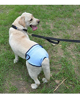 KUTKUT Set of 2 Reusable & Washable Sanitary Pet Diaper| Adjustable Menstruation Underwear for Female Dog in Heat Period